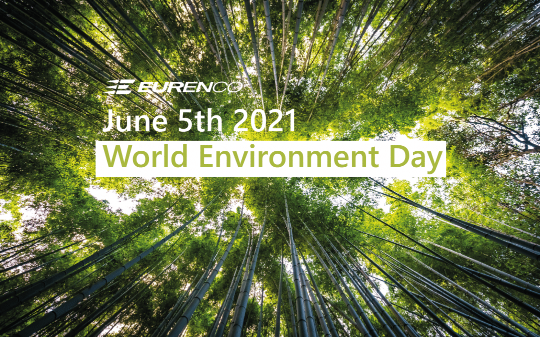 Journée Mondiale De l’Environnement